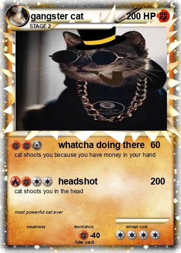 Pokemon gangster cat