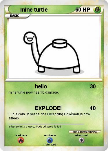 Pokemon mine turtle