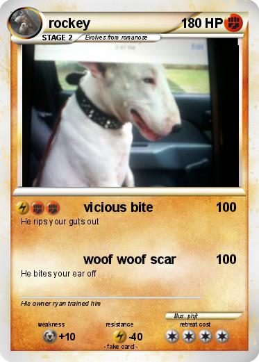 Pokemon rockey
