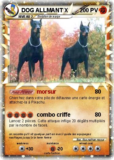 Pokemon DOG ALLMANT X