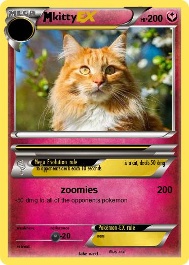 Pokemon kitty