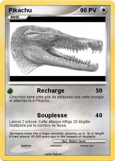 Pokemon Zaglossus hacketti