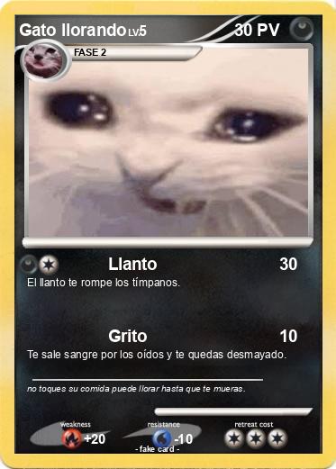 Pokemon Gato llorando