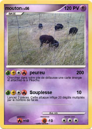 Pokemon mouton