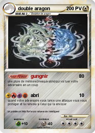 Pokemon double aragon
