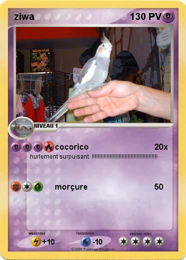Pokemon ziwa