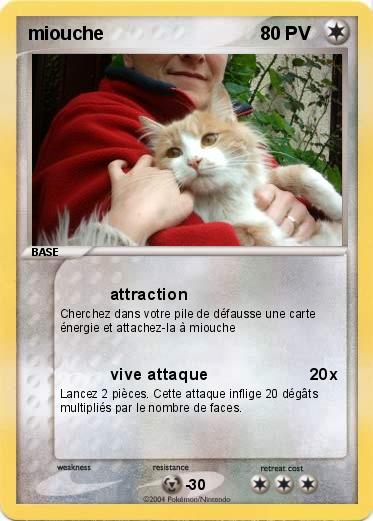 Pokemon miouche