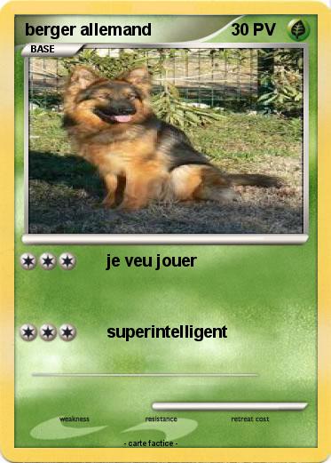 Pokemon berger allemand