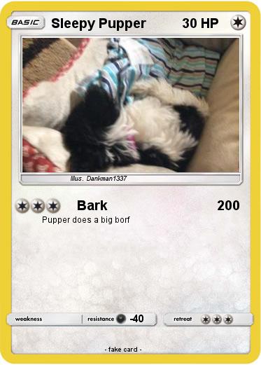 Pokemon Sleepy Pupper