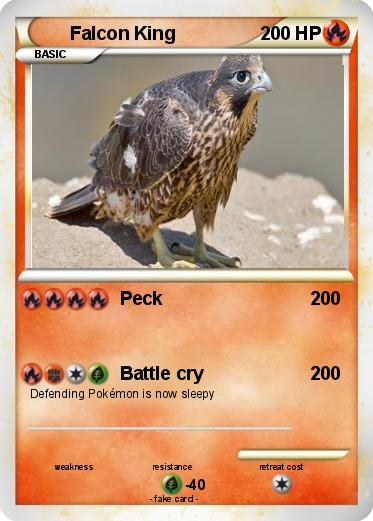 Pokemon Falcon King
