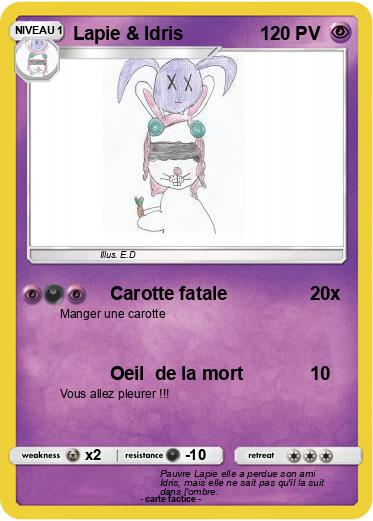 Pokemon Lapie & Idris