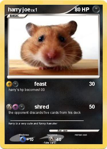 Pokemon harry joe
