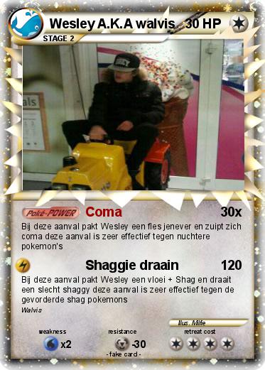 Pokemon Wesley A.K.A walvis