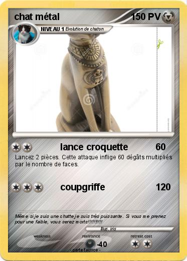 Pokemon chat métal