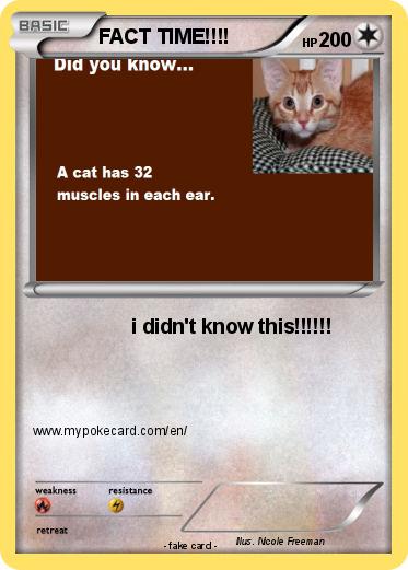 Pokemon FACT TIME!!!!
