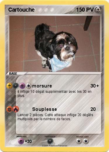 Pokemon Cartouche