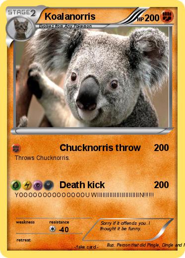 Pokemon Koalanorris