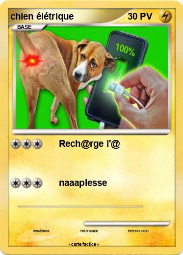 Pokemon chien élétrique