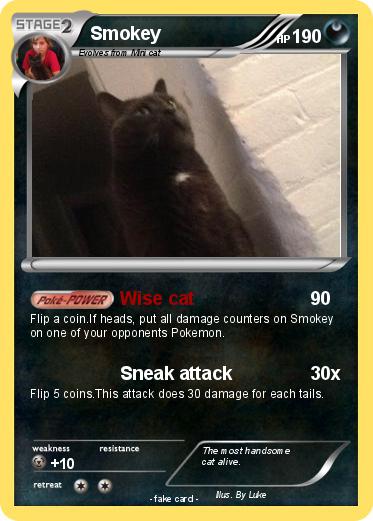 Pokemon Smokey
