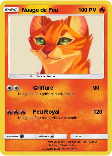 Pokemon Nuage de Feu