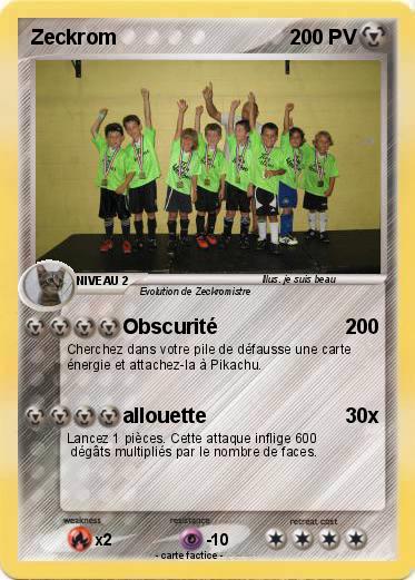 Pokemon Zeckrom