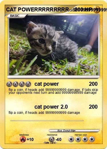 Pokemon CAT POWERRRRRRRRR