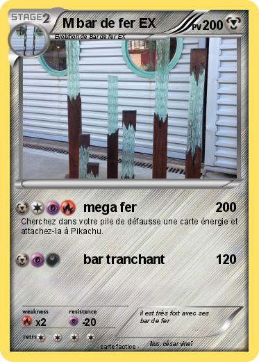 Pokemon M bar de fer EX