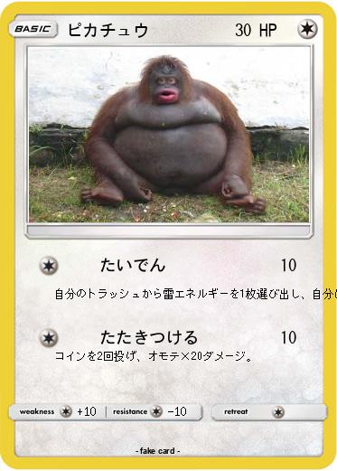 Pokemon ピカチュウ