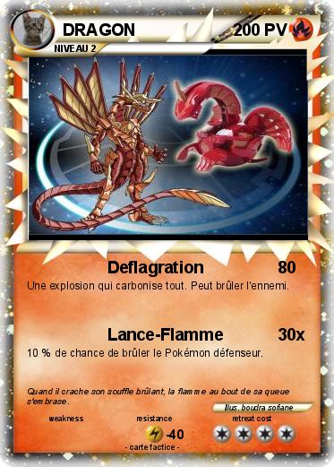 Pokemon DRAGON