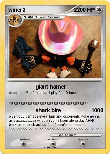 Pokemon winer2                                2