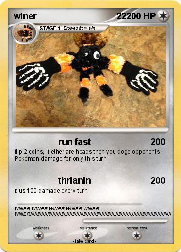Pokemon winer                                22