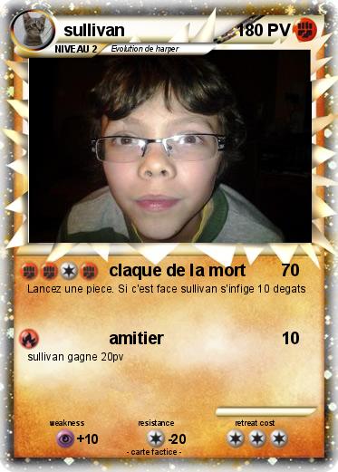 Pokemon sullivan