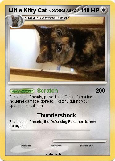 Pokemon Little Kitty Cat