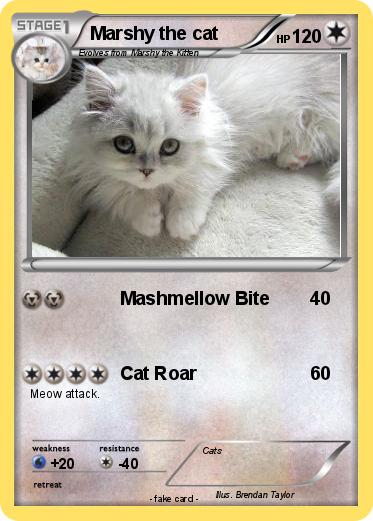 Pokemon Marshy the cat
