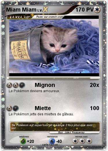 Pokemon Miam Miam
