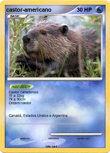 Pokemon castor-americano