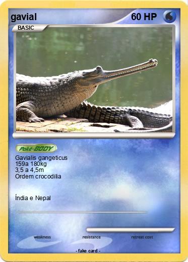 Pokemon gavial