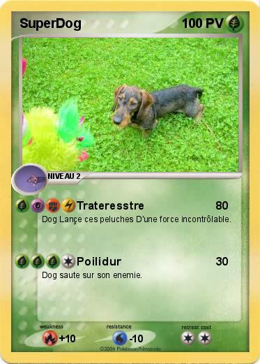 Pokemon SuperDog