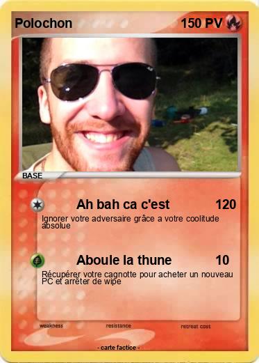 Pokemon Polochon