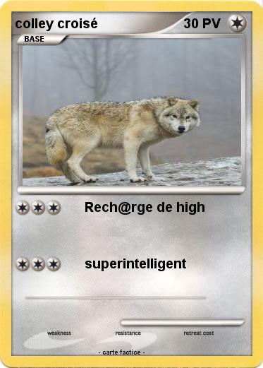 Pokemon colley croisé