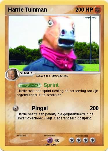 Pokemon Harrie Tuinman