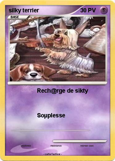 Pokemon silky terrier