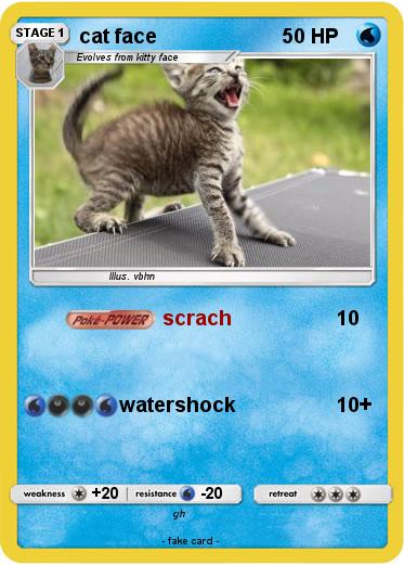 Pokemon cat face