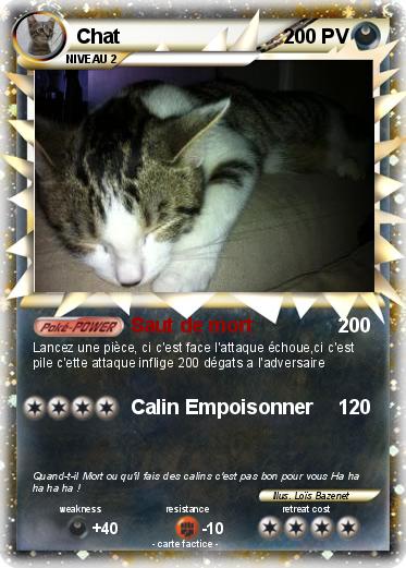 Pokemon Chat