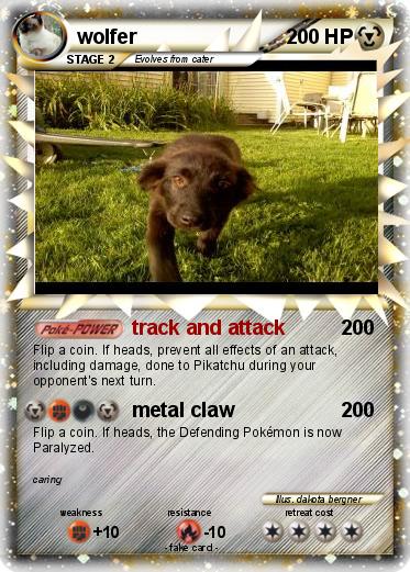 Pokemon wolfer