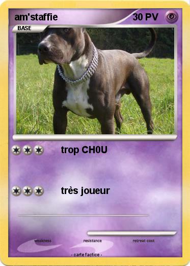 Pokemon am'staffie