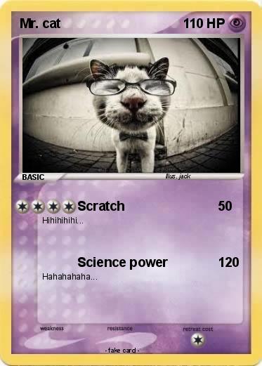 Pokemon Mr. cat