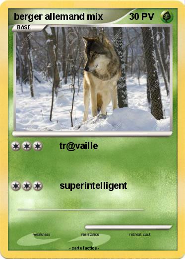 Pokemon berger allemand mix
