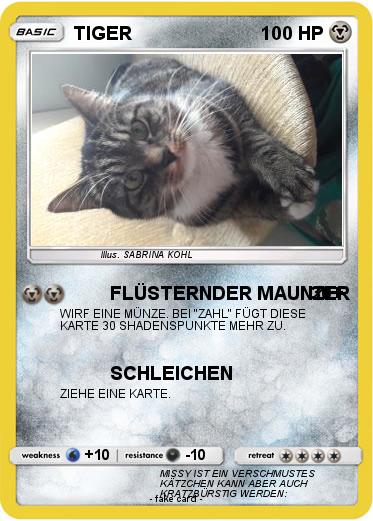 Pokemon TIGER