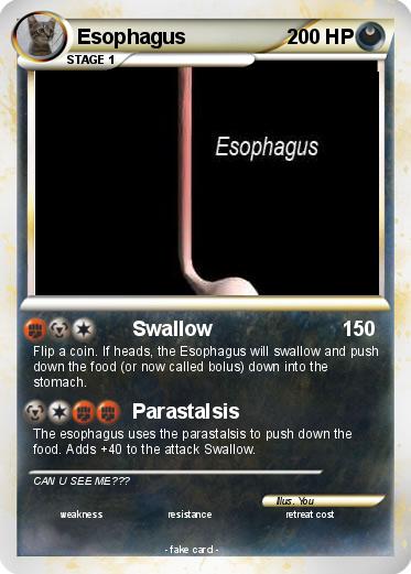 Pokemon Esophagus